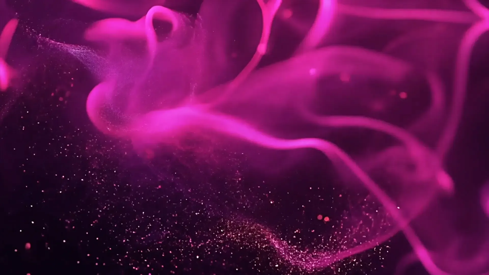 Abstract Pink Energy Flow Overlay for Futuristic Music Videos